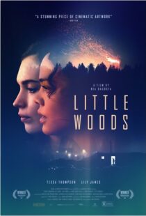 دانلود فیلم Little Woods 201822292-578149045