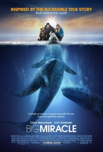 دانلود فیلم Big Miracle 201218814-974027317