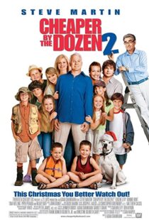 دانلود فیلم Cheaper by the Dozen 2 200534536-541269106