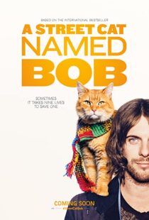 دانلود فیلم A Street Cat Named Bob 201641621-1531795259