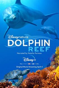 دانلود مستند Dolphin Reef 201838724-557404301