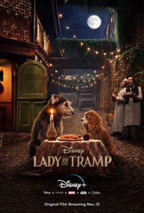 دانلود فیلم Lady and the Tramp 201951922-770341603