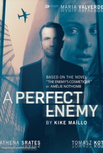 دانلود فیلم A Perfect Enemy 202082295-464769473