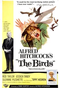 دانلود فیلم The Birds 196382372-971104486