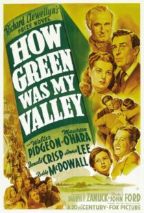 دانلود فیلم How Green Was My Valley 194181855-521504561