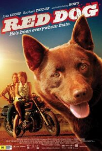 دانلود فیلم Red Dog 201187414-1922017891