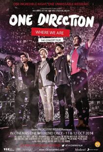 دانلود مستند One Direction: Where We Are – The Concert Film 2014100436-1511927866
