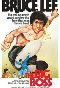 دانلود فیلم The Big Boss 197197560-2086431646