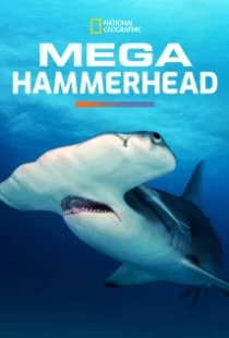 دانلود مستند Mega Hammerhead 2016103122-1166261346