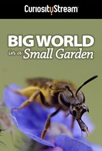 دانلود مستند Big World in a Small Garden 2016102965-471076349