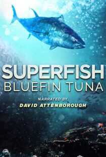 دانلود مستند Superfish Bluefin Tuna 2012101607-297976650