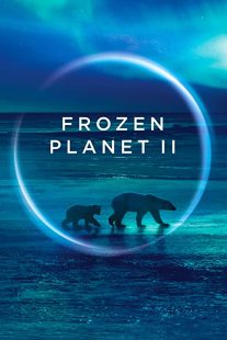 دانلود مستند Frozen Planet II268784-389254423
