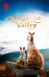 دانلود فیلم Kangaroo Valley 2022322977-1193642367