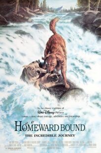 دانلود فیلم Homeward Bound: The Incredible Journey 1993371118-33571081