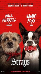 دانلود فیلم Strays 2023374413-370852169