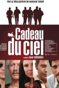 دانلود فیلم Gift from Above 2003374505-304515012