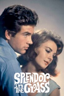 دانلود فیلم Splendor in the Grass 1961382554-450216663