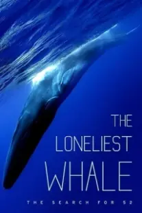 دانلود فیلم The Loneliest Whale: The Search for 52 2021403098-1815082494