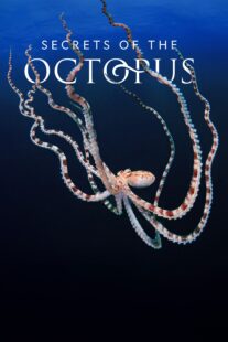دانلود سریال Secrets of the Octopus401286-1847961668