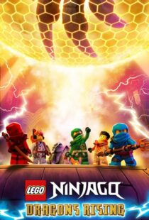 دانلود انیمیشن Ninjago: Dragons Rising402689-654821393