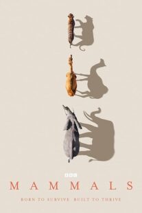 دانلود سریال Mammals404460-390248373
