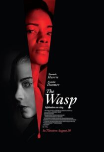 دانلود فیلم The Wasp 2024411027-611018880