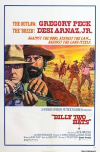 دانلود فیلم Billy Two Hats 1974411057-2071531203