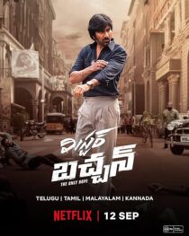 دانلود فیلم هندی Mr. Bachchan 2024413708-1231535131