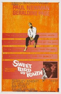 دانلود فیلم Sweet Bird of Youth 1962415738-1776187957