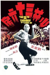 دانلود فیلم The 36th Chamber of Shaolin 1978418237-676039100