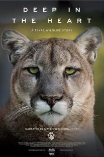 دانلود مستند Deep in the Heart: A Texas Wildlife Story 2022421545-1136908210