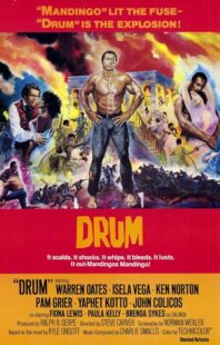 دانلود فیلم Drum 1976423508-1200762143
