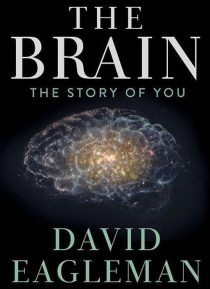 دانلود سریال The Brain with Dr. David Eagleman428613-15694511