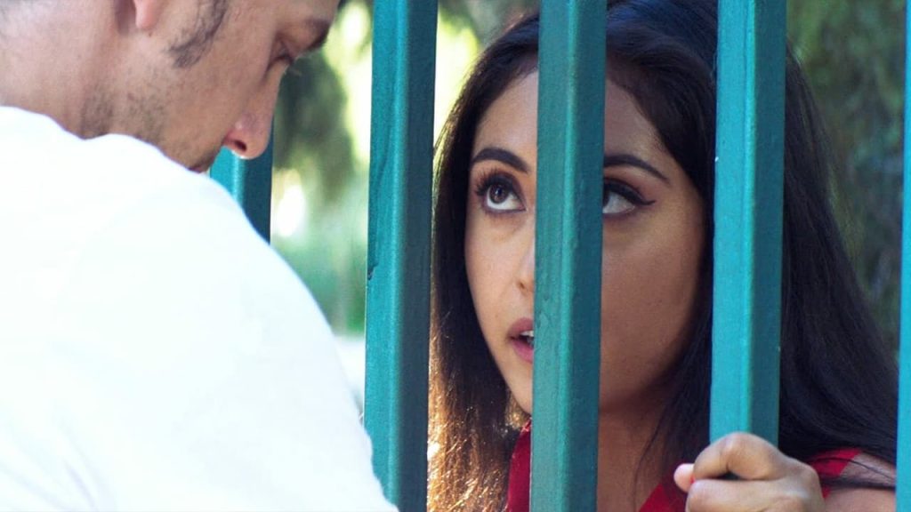 دانلود فیلم The Wall of Mexico 2019