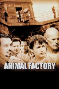 دانلود فیلم Animal Factory 2000430534-1210639269