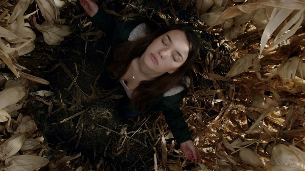 دانلود فیلم The Corruption of Divine Providence 2020