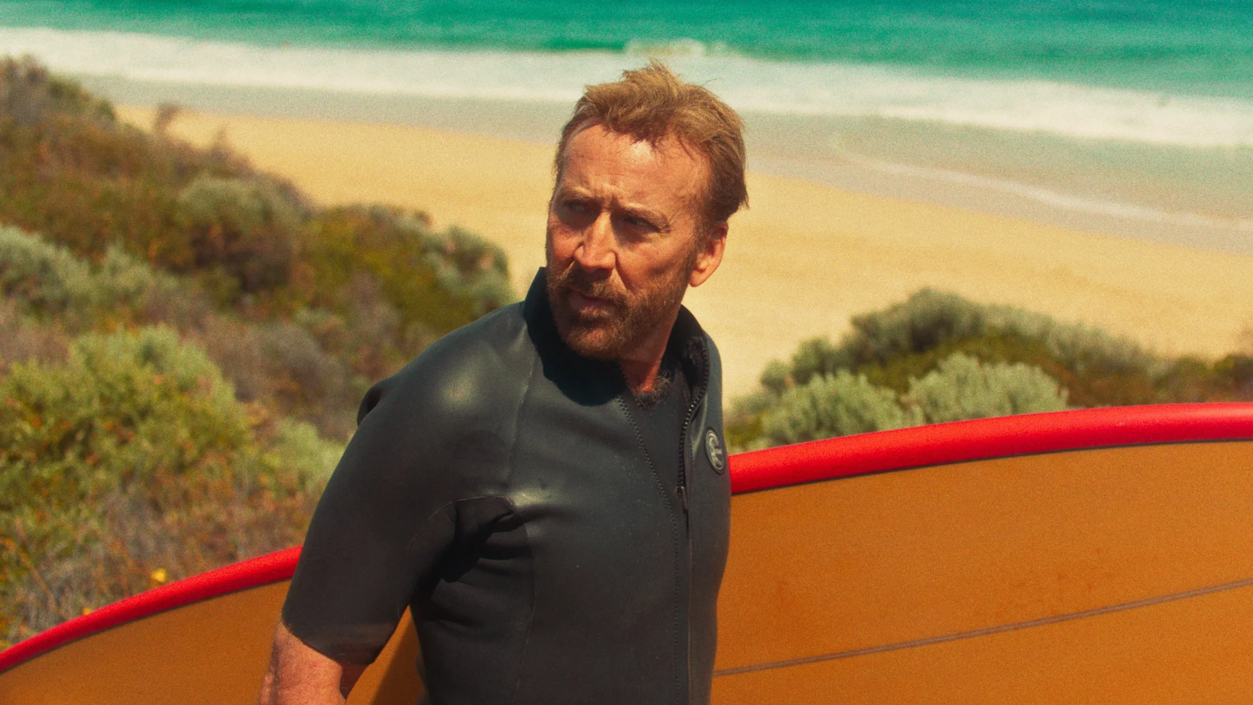 دانلود فیلم The Surfer 2024