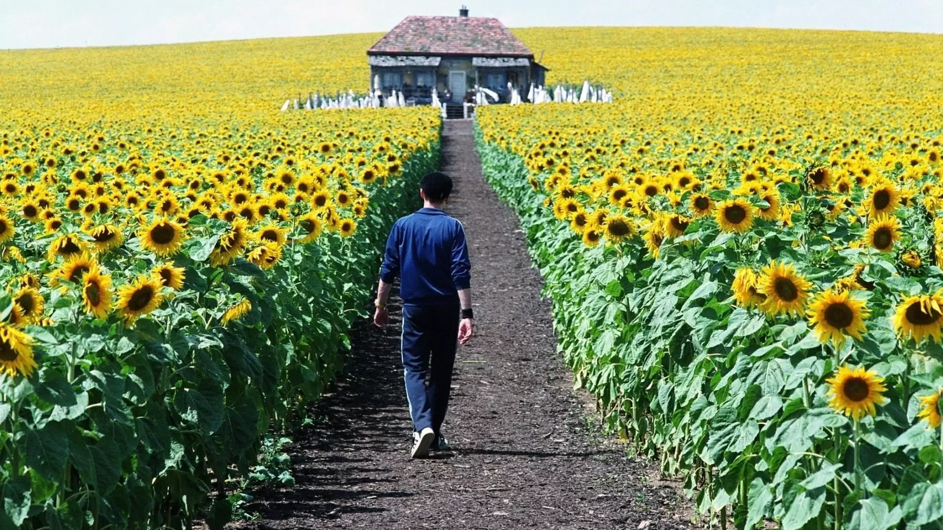 دانلود فیلم Everything Is Illuminated 2005