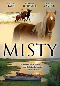 دانلود فیلم Misty 1961436665-1715669867