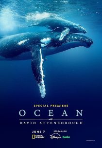 دانلود مستند Ocean with David Attenborough 2025438009-1179433925