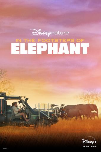 دانلود فیلم In the Footsteps of Elephant 2020