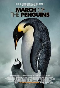 دانلود مستند March of the Penguins 2005441432-2111281804