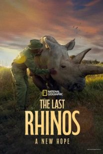 دانلود مستند The Last Rhinos A New Hope 2025439760-2138987141