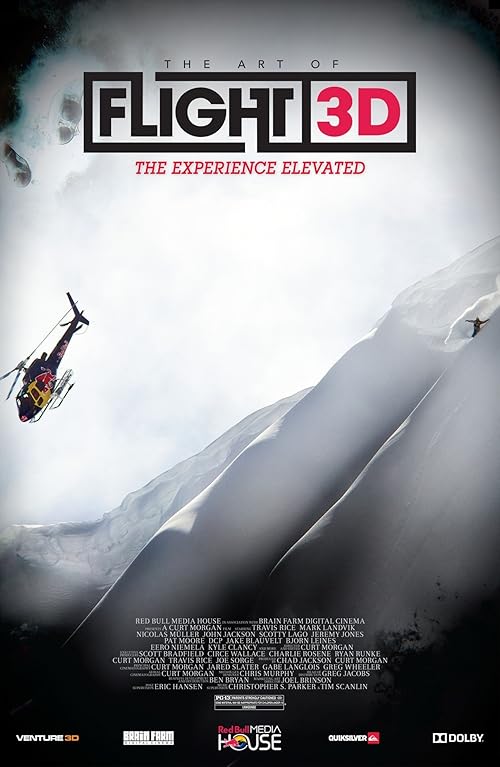 دانلود فیلم The Art of Flight 2011