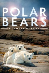 دانلود فیلم Polar Bears: A Summer Odyssey 2012441553-1552817288