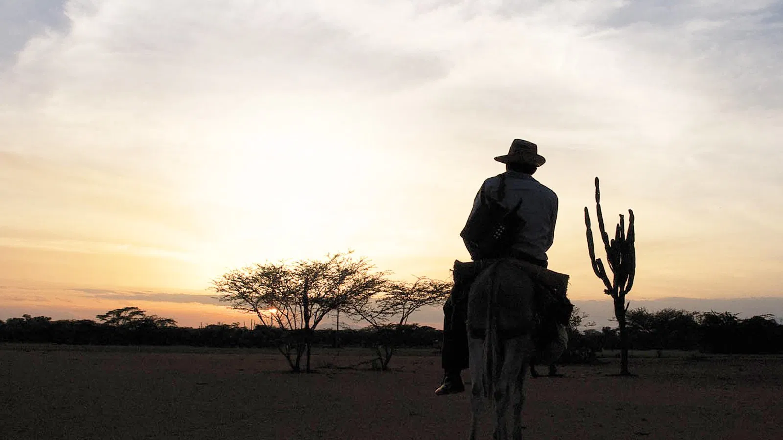 دانلود فیلم The Wind Journeys 2009