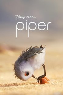 دانلود انیمیشن Piper 2016445119-960853485