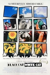 دانلود فیلم Black Cat, White Cat 1998444406-1360668251