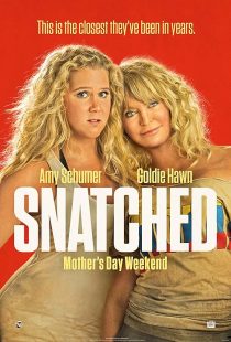 دانلود فیلم Snatched 2017446581-1393930353