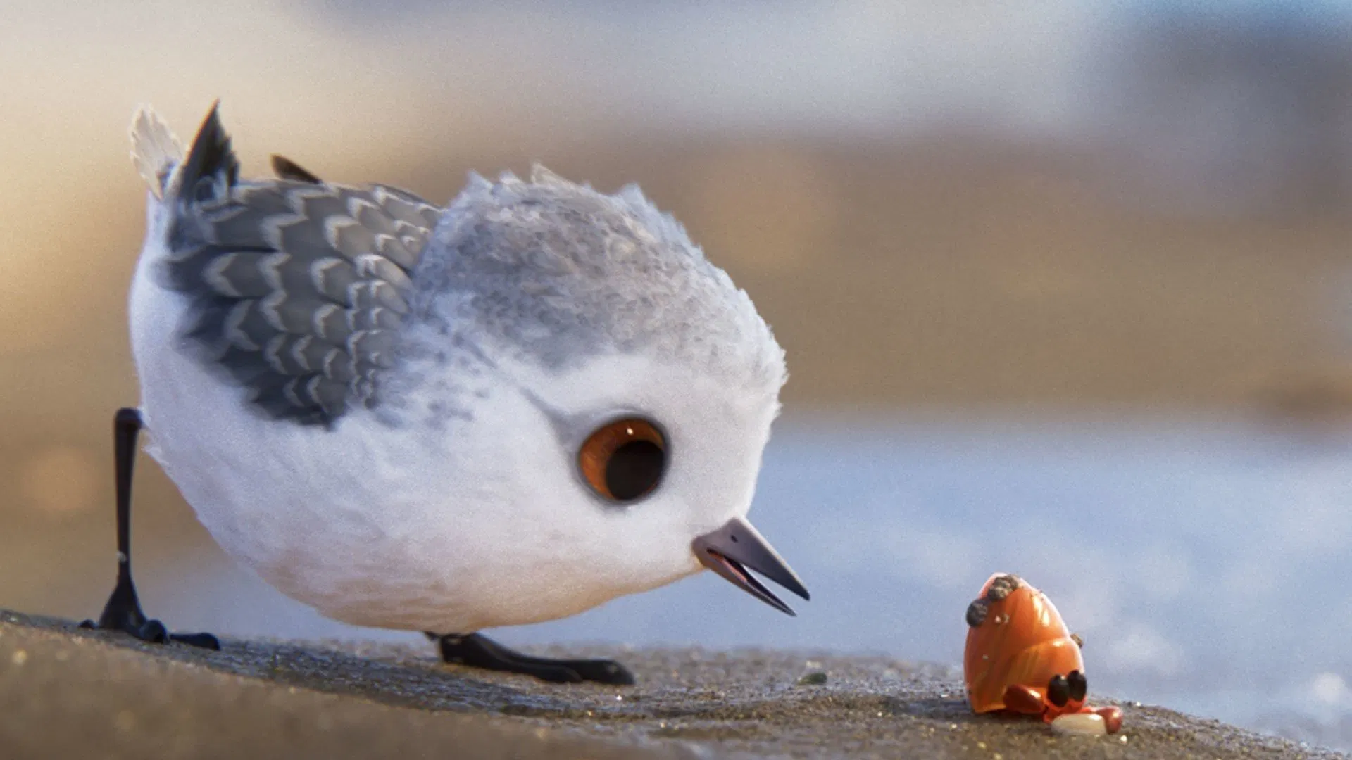 دانلود انیمیشن Piper 2016